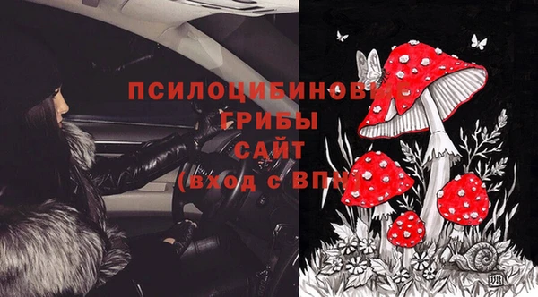 мет Баксан