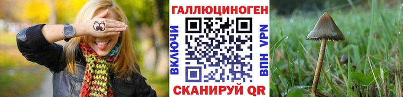закладки  Макарьев  Галлюциногенные грибы мицелий 